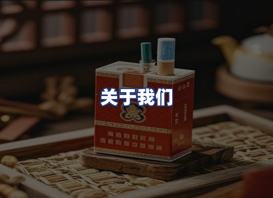 专业团队